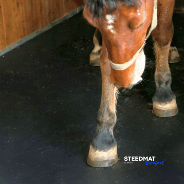 bepco STEEDMAT - Stallmatte aus Gummigranulat (wasserdurchlässig) – Bild 13